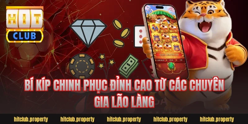 Bí kíp chinh phục đỉnh cao từ các chuyên gia lão làng