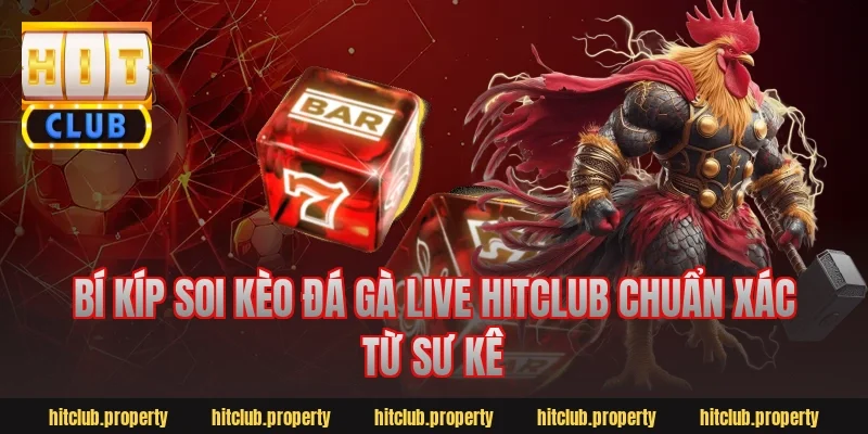 Bí kíp soi kèo đá gà live Hitclub chuẩn xác từ sư kê