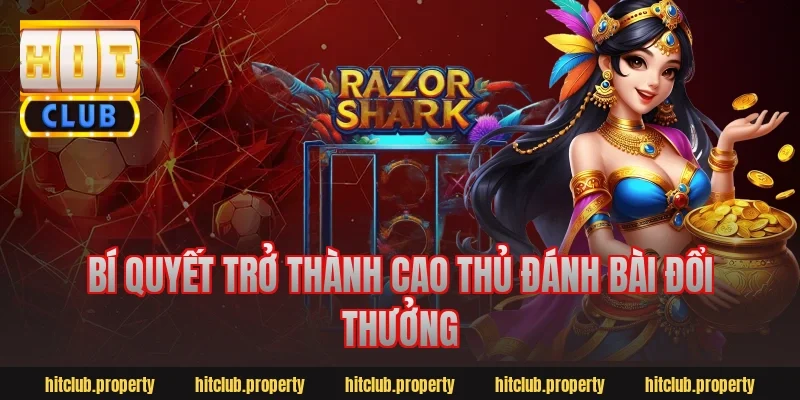 Bí Quyết Trở Thành Cao Thủ Đánh Bài Đổi Thưởng