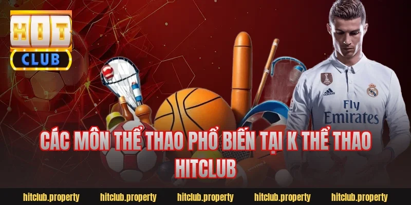 Các môn thể thao phổ biến tại k thể thao hitclub