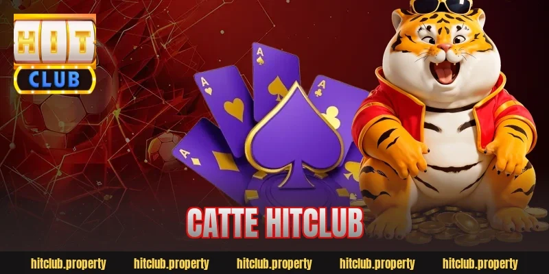 catte hitclub