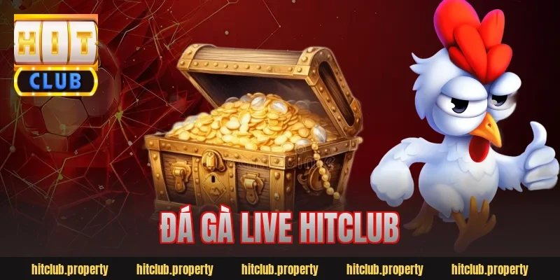 đá gà live hitclub