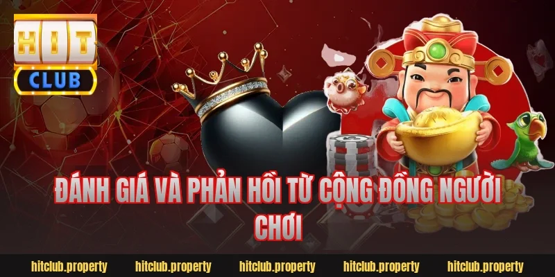 Đánh Giá Và Phản Hồi Từ Cộng Đồng Người Chơi