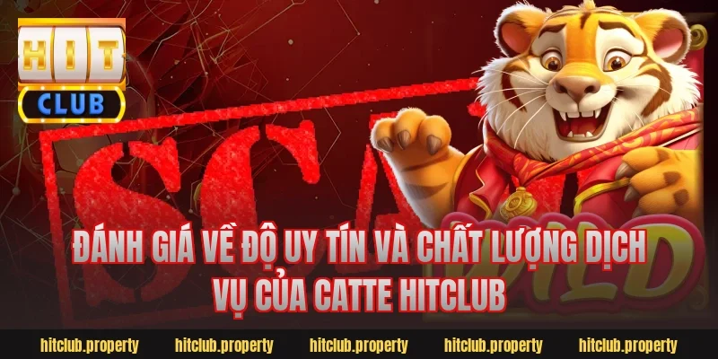 Đánh Giá Về Độ Uy Tín Và Chất Lượng Dịch Vụ Của Catte Hitclub