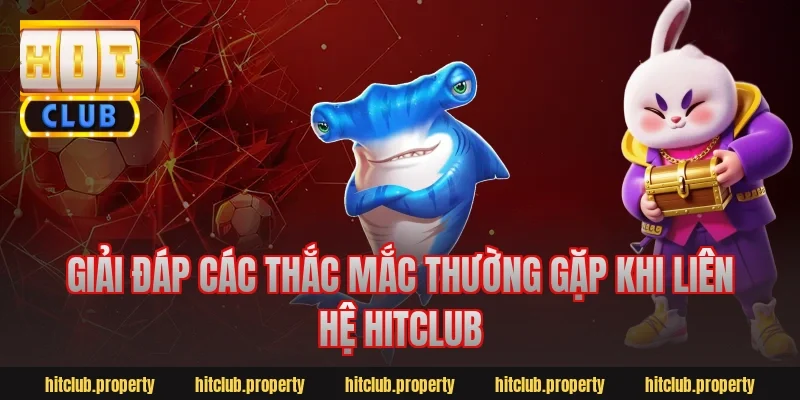 Giải đáp các thắc mắc thường gặp khi liên hệ HitClub