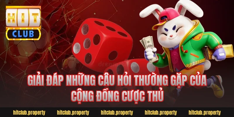 Giải Đáp Những Câu Hỏi Thường Gặp Của Cộng Đồng Cược Thủ