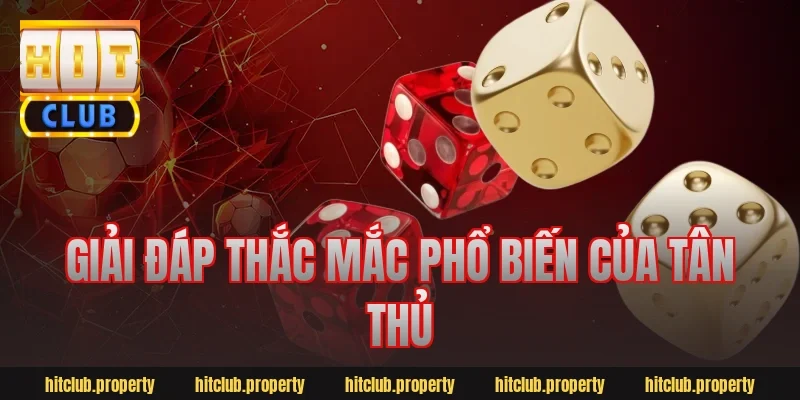 Giải đáp thắc mắc phổ biến của tân thủ