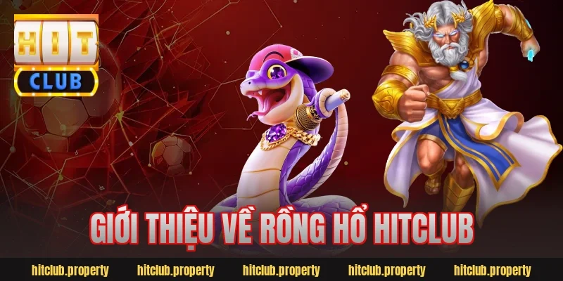 Giới thiệu về rồng hổ hitclub