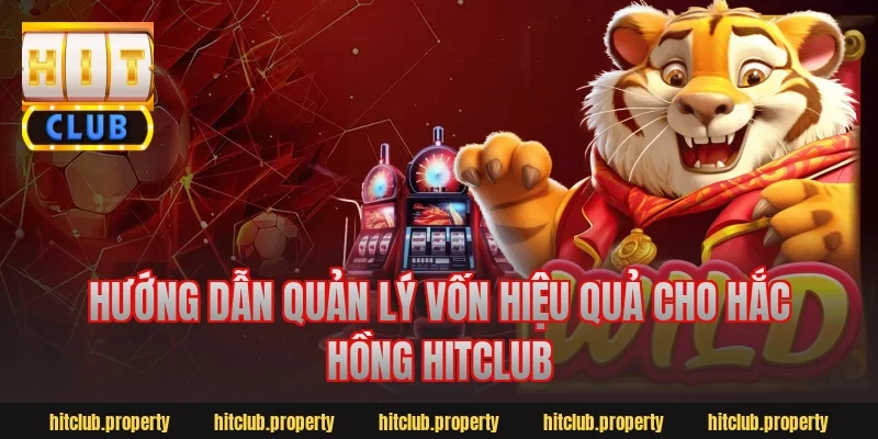 Hướng dẫn quản lý vốn hiệu quả cho hắc hồng hitclub
