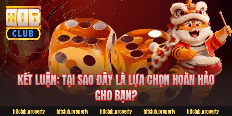 Kết Luận: Tại Sao Đây Là Lựa Chọn Hoàn Hảo Cho Bạn?