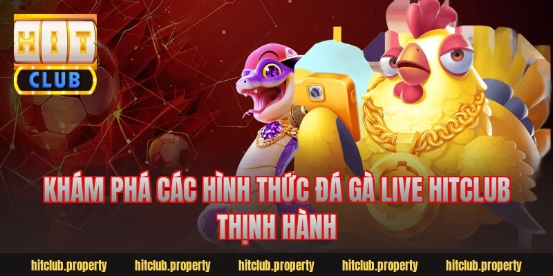 Khám phá các hình thức đá gà live Hitclub thịnh hành