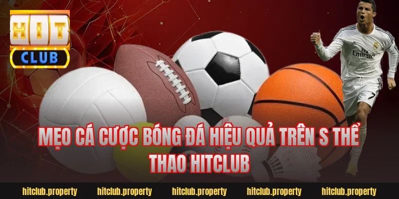 Mẹo cá cược bóng đá hiệu quả trên s thể thao hitclub