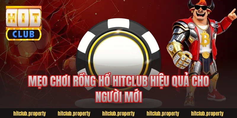 Mẹo chơi rồng hổ hitclub hiệu quả cho người mới