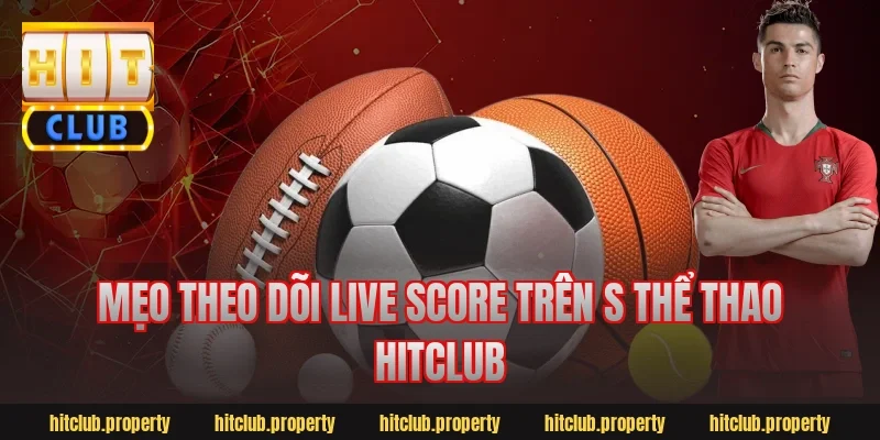 Mẹo theo dõi live score trên s thể thao hitclub