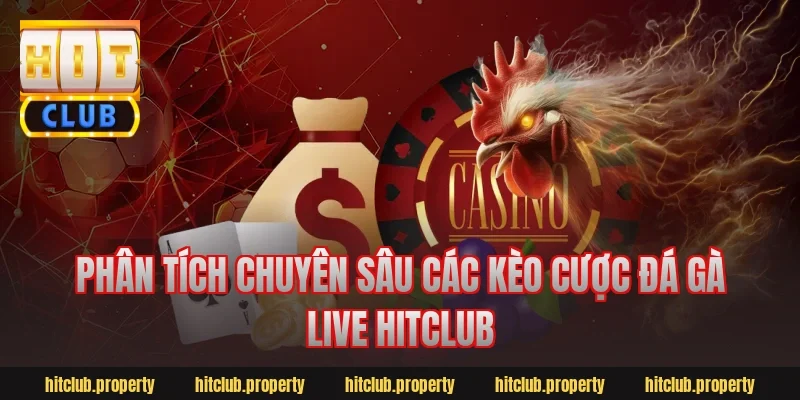 Phân tích chuyên sâu các kèo cược đá gà live Hitclub