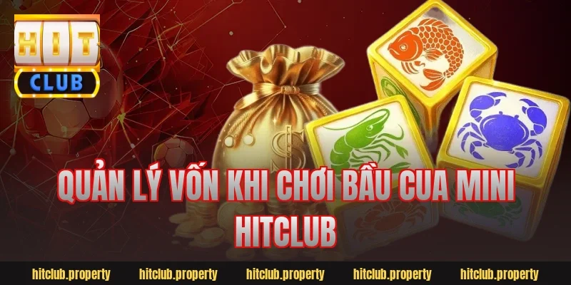 Quản lý vốn khi chơi bầu cua mini hitclub