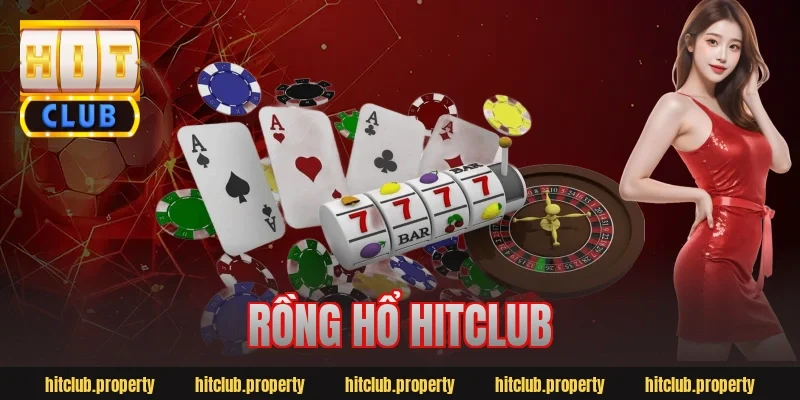 rồng hổ hitclub