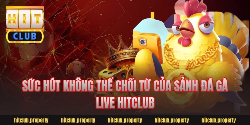Sức hút không thể chối từ của sảnh đá gà live Hitclub