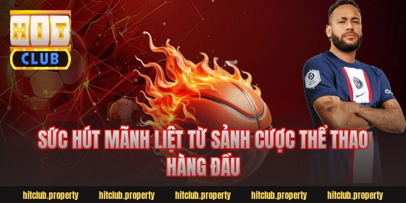 Sức hút mãnh liệt từ sảnh cược thể thao hàng đầu
