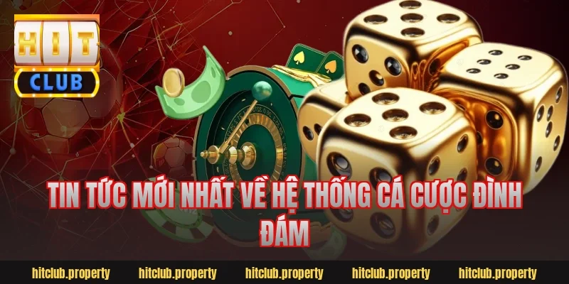 Tin tức mới nhất về hệ thống cá cược đình đám